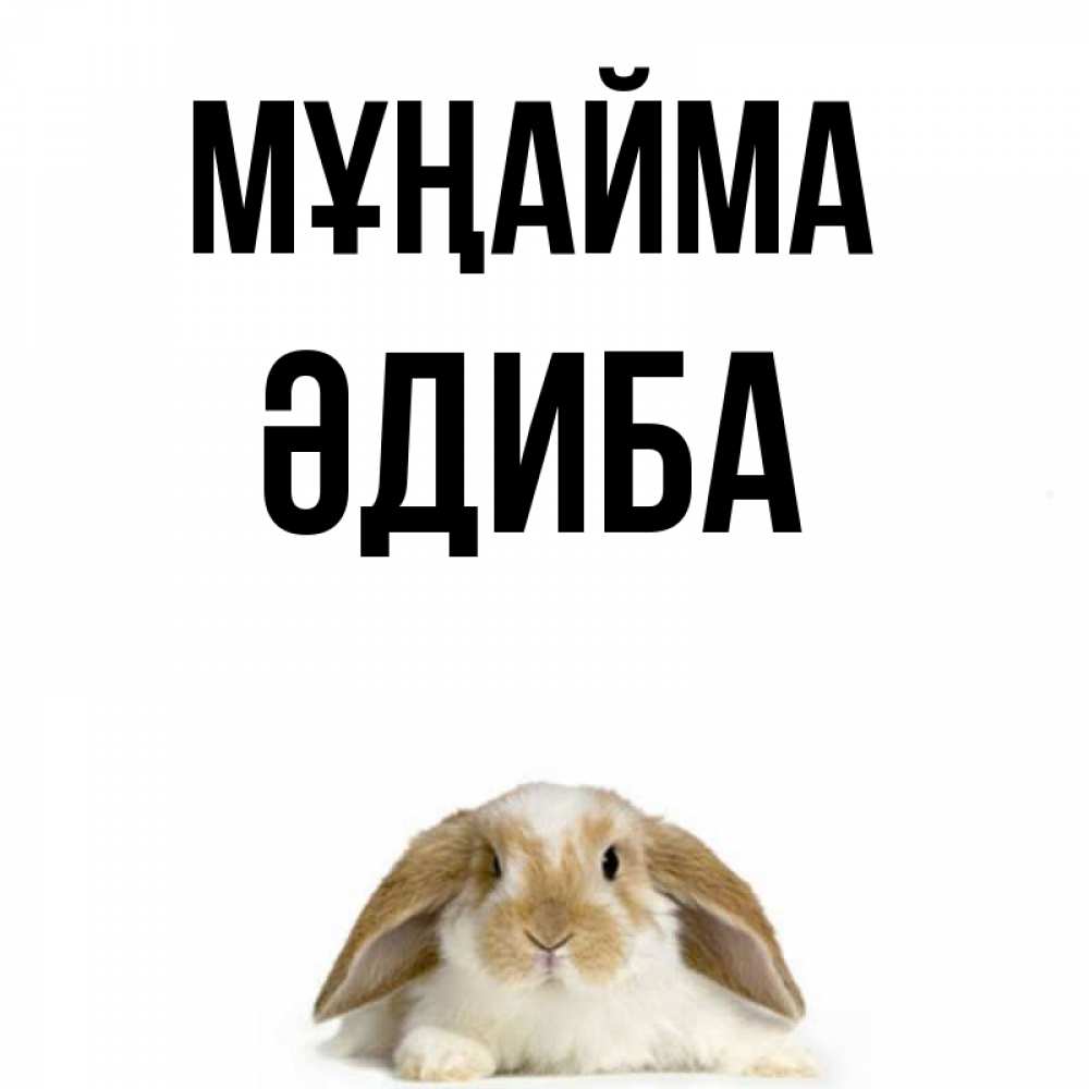 Күн сайын ашық хат с именем, ӘДИБА Мұңайма коричнево белый заяц с большими ушками Онлайн тегін жүктеп алу тілектері бар керемет карта 