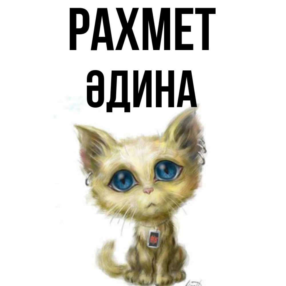 Күн сайын ашық хат с именем, ӘДИНА рахмет рисованный кот благодарит вас Онлайн тегін жүктеп алу тілектері бар керемет карта 