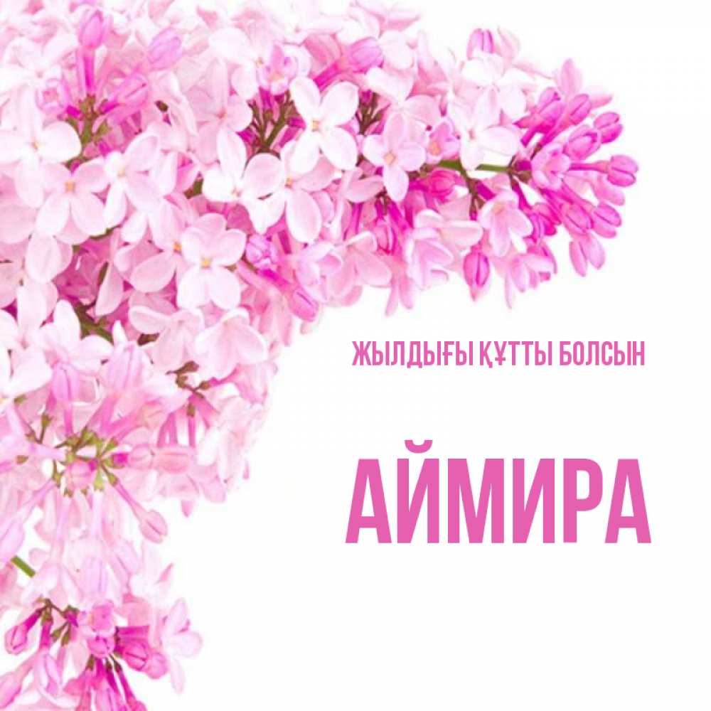 Күн сайын ашық хат с именем, АЙМИРА Жылдығы құтты болсын Сирень на белом фоне Онлайн тегін жүктеп алу тілектері бар керемет карта 
