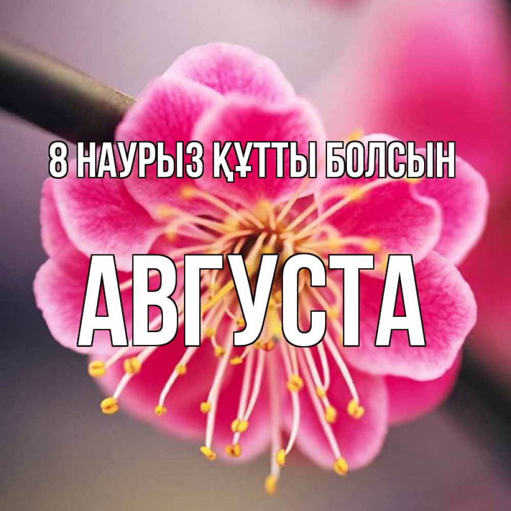 Күн сайын ашық хат с именем, Августа 8 наурыз құтты болсын цветы Онлайн тегін жүктеп алу тілектері бар керемет карта 