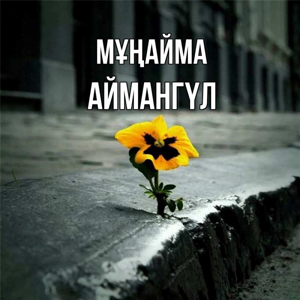 Күн сайын ашық хат с именем, Аймангүл Мұңайма не сдавайся Онлайн тегін жүктеп алу тілектері бар керемет карта 