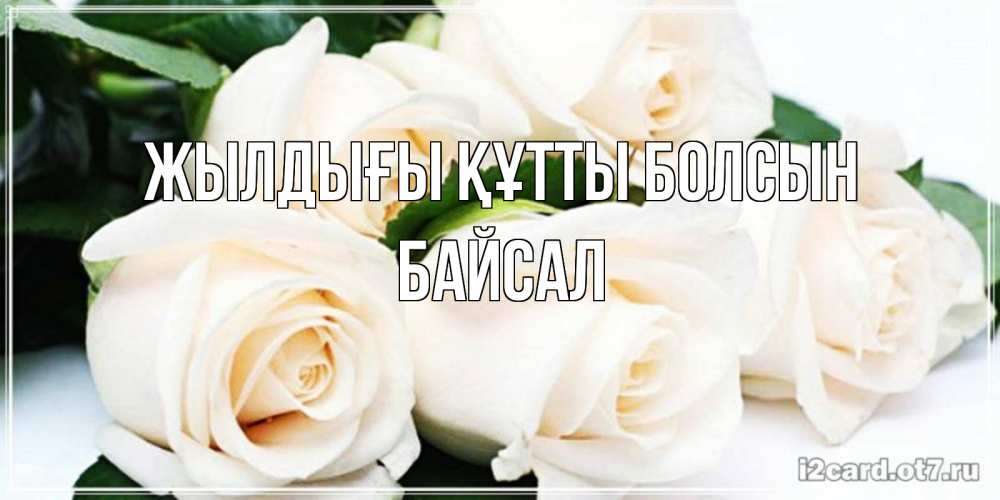 Күн сайын ашық хат с именем, Байсал Жылдығы құтты болсын открытка с красивыми белыми розами для родных Онлайн тегін жүктеп алу тілектері бар керемет карта 