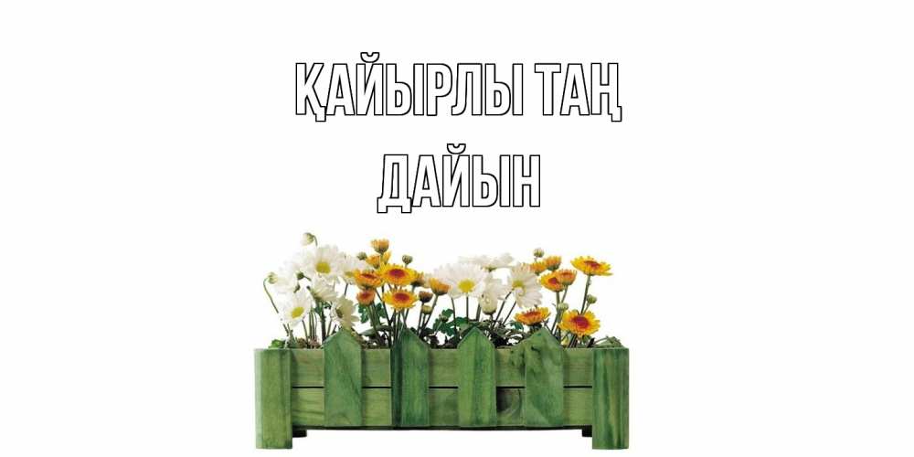 Күн сайын ашық хат с именем, Дайын Қайырлы таң цветы Онлайн тегін жүктеп алу тілектері бар керемет карта 