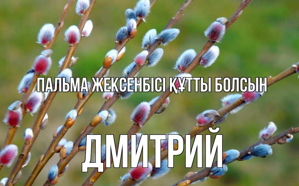 Күн сайын ашық хат с именем, Дмитрий Пальма жексенбісі құтты болсын верба Онлайн тегін жүктеп алу тілектері бар керемет карта 