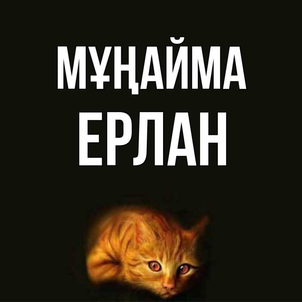 Күн сайын ашық хат с именем, Ерлан Мұңайма лежащий кот в темноте Онлайн тегін жүктеп алу тілектері бар керемет карта 