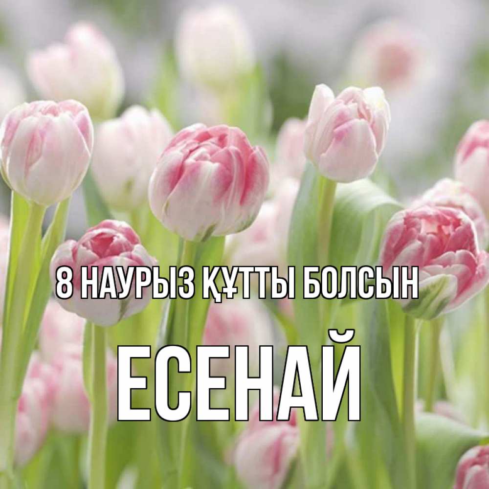 Күн сайын ашық хат с именем, Есенай 8 наурыз құтты болсын цветы Онлайн тегін жүктеп алу тілектері бар керемет карта 