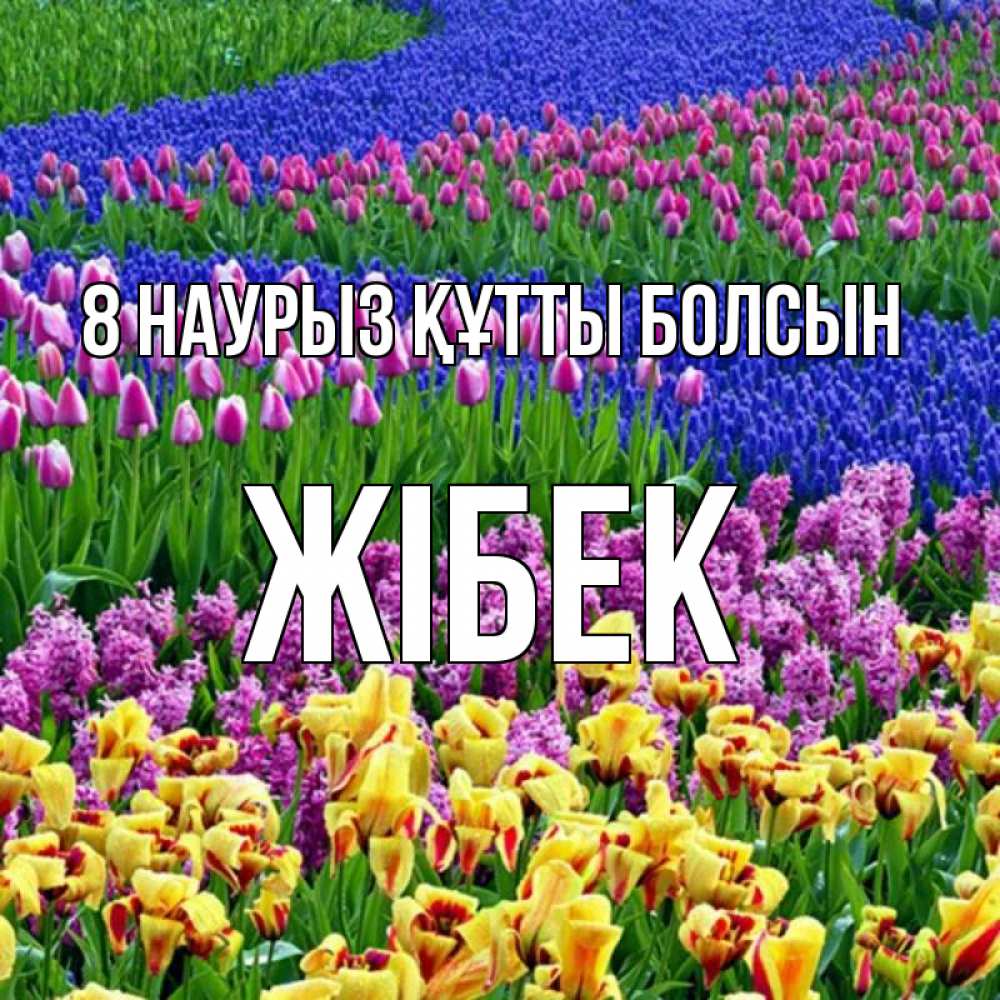 Күн сайын ашық хат с именем, ЖІБЕК 8 наурыз құтты болсын цветы Онлайн тегін жүктеп алу тілектері бар керемет карта 
