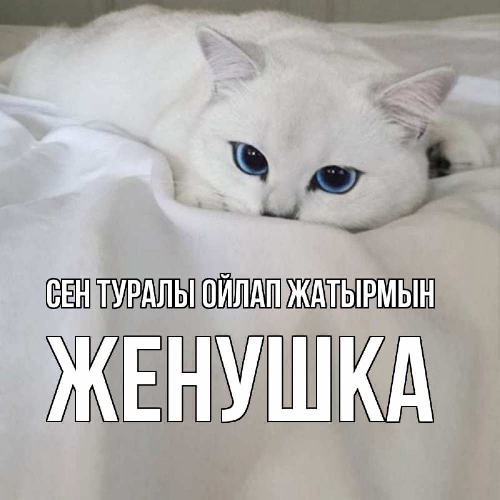 Күн сайын ашық хат с именем, Женушка Сен туралы ойлап жатырмын я очень по тебе скучаю и тоскую Онлайн тегін жүктеп алу тілектері бар керемет карта 