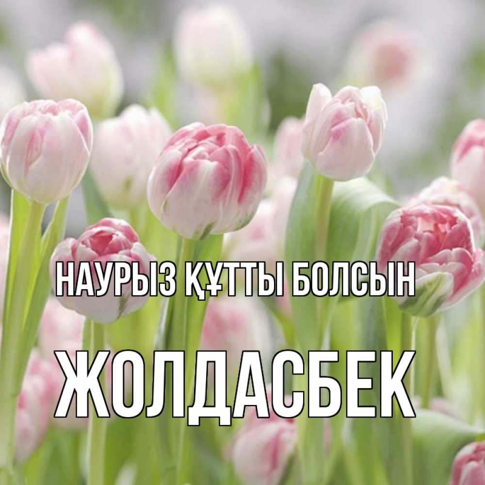 Күн сайын ашық хат с именем, Жолдасбек Наурыз құтты болсын цветы Онлайн тегін жүктеп алу тілектері бар керемет карта 