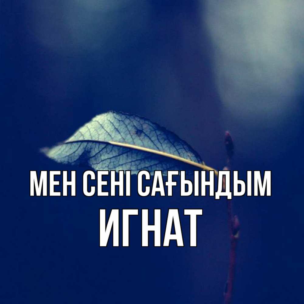 Күн сайын ашық хат с именем, Игнат Мен сені сағындым одна ветка 1 Онлайн тегін жүктеп алу тілектері бар керемет карта 