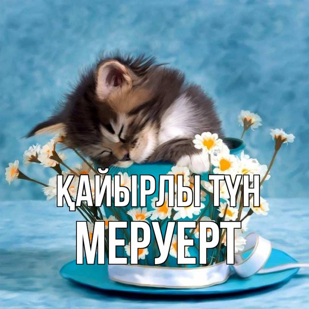 Күн сайын ашық хат с именем, МЕРУЕРТ Қайырлы түн котенок спит в кружке с блюдцем Онлайн тегін жүктеп алу тілектері бар керемет карта 