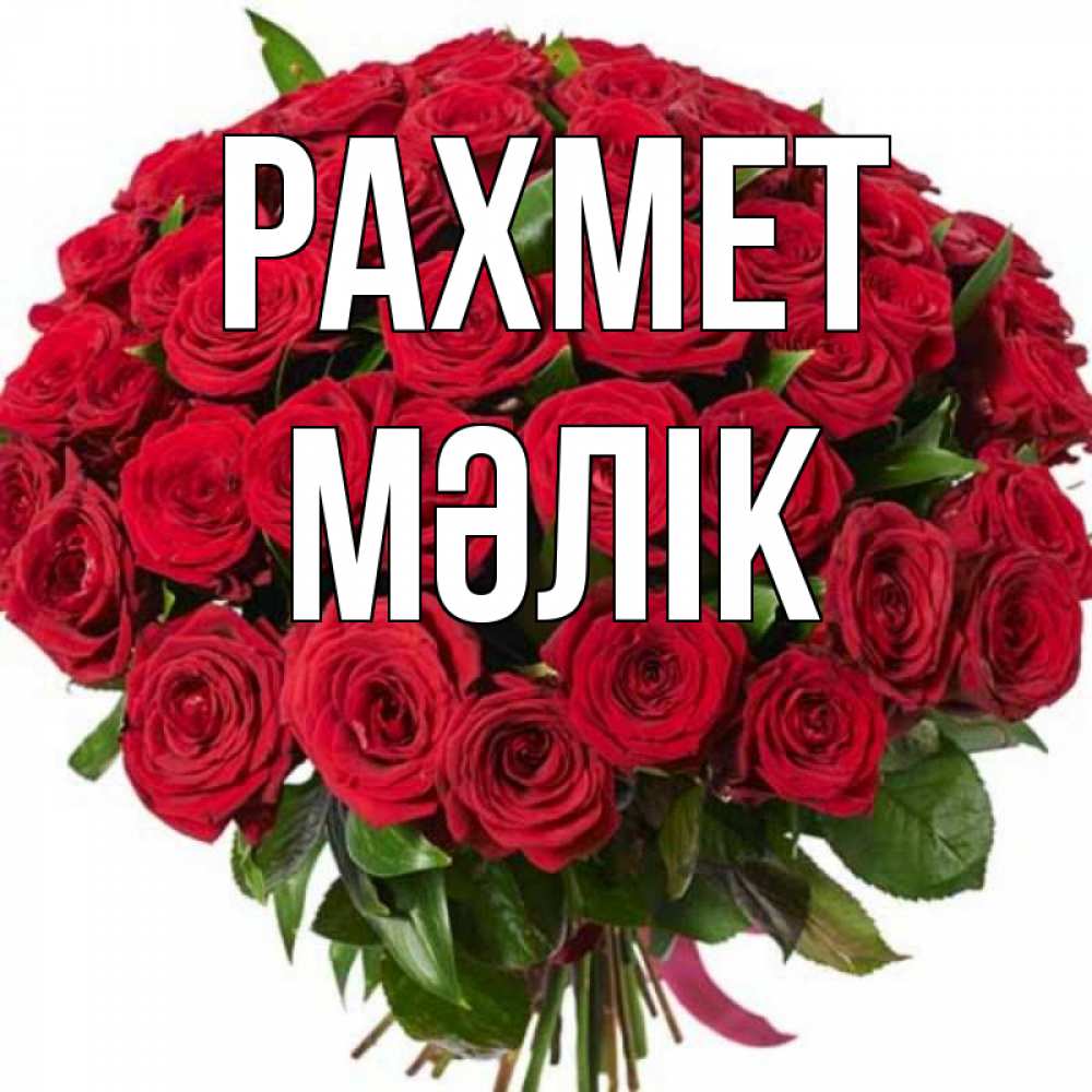 Күн сайын ашық хат с именем, МӘЛІК рахмет букет красных роз Онлайн тегін жүктеп алу тілектері бар керемет карта 