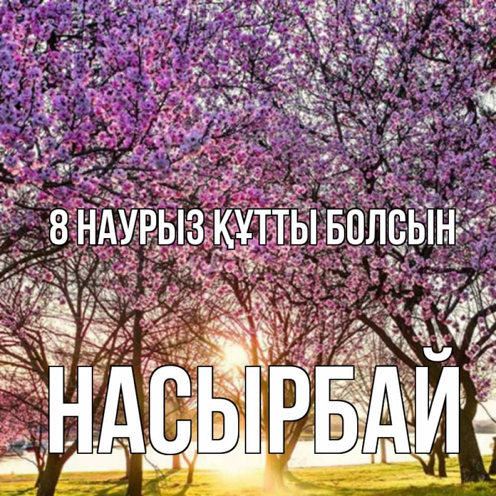 Күн сайын ашық хат с именем, Насырбай 8 наурыз құтты болсын международный женский день Онлайн тегін жүктеп алу тілектері бар керемет карта 