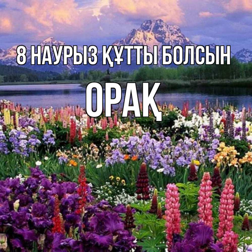 Күн сайын ашық хат с именем, ОРАҚ 8 наурыз құтты болсын международный женский день Онлайн тегін жүктеп алу тілектері бар керемет карта 
