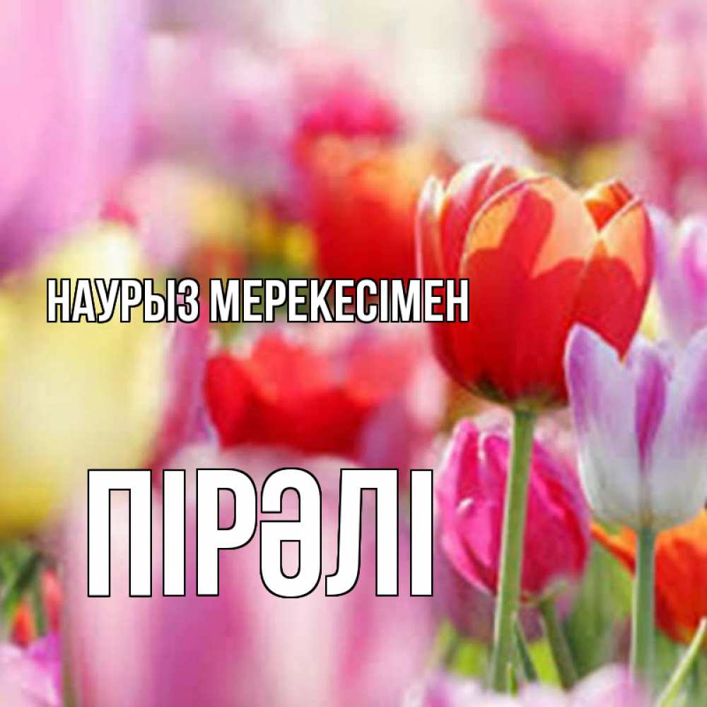 Күн сайын ашық хат с именем, ПІРӘЛІ Наурыз мерекесімен праздник весны наурыз 67 Онлайн тегін жүктеп алу тілектері бар керемет карта 