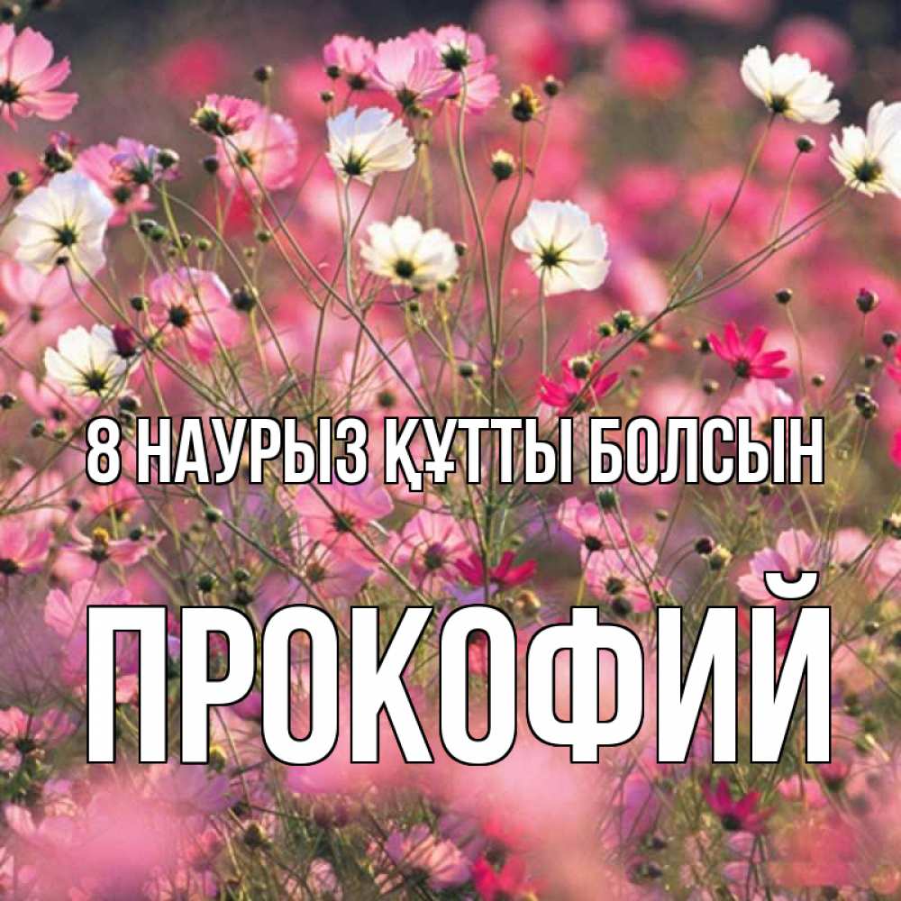 Күн сайын ашық хат с именем, Прокофий 8 наурыз құтты болсын красиво 1 Онлайн тегін жүктеп алу тілектері бар керемет карта 
