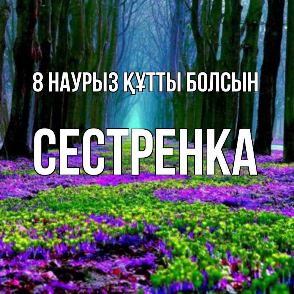 Күн сайын ашық хат с именем, Сестренка 8 наурыз құтты болсын фиолетовые цветы в лесу 1 Онлайн тегін жүктеп алу тілектері бар керемет карта 