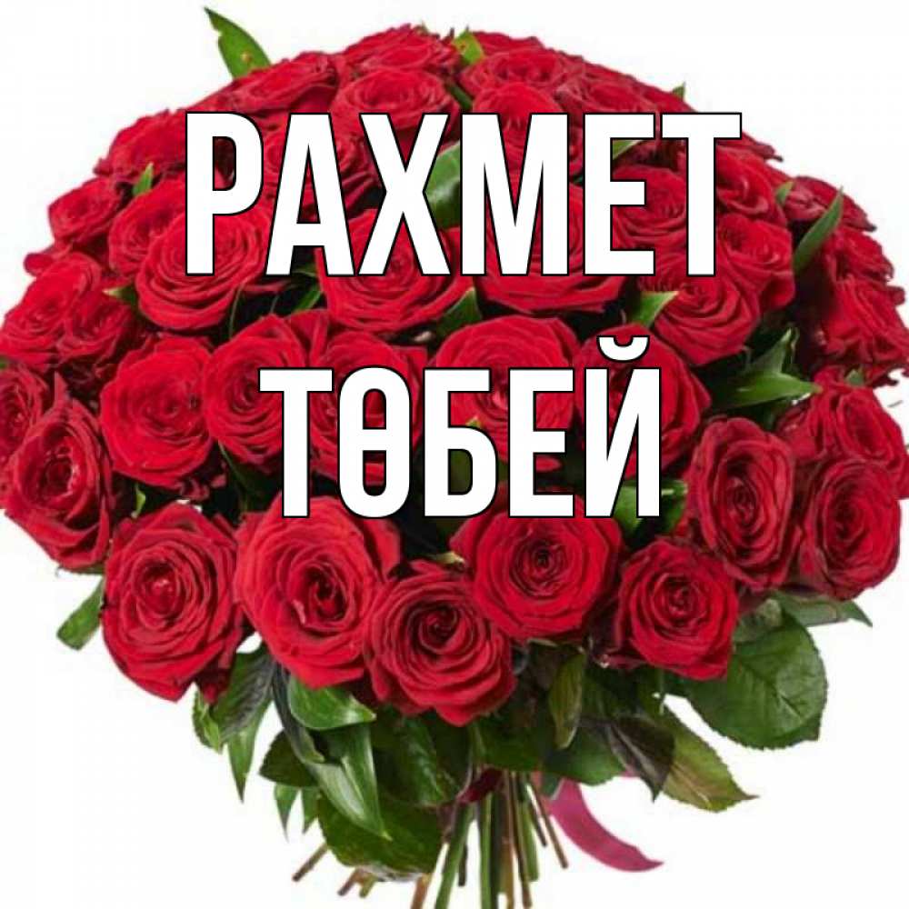 Күн сайын ашық хат с именем, ТӨБЕЙ рахмет букет красных роз Онлайн тегін жүктеп алу тілектері бар керемет карта 
