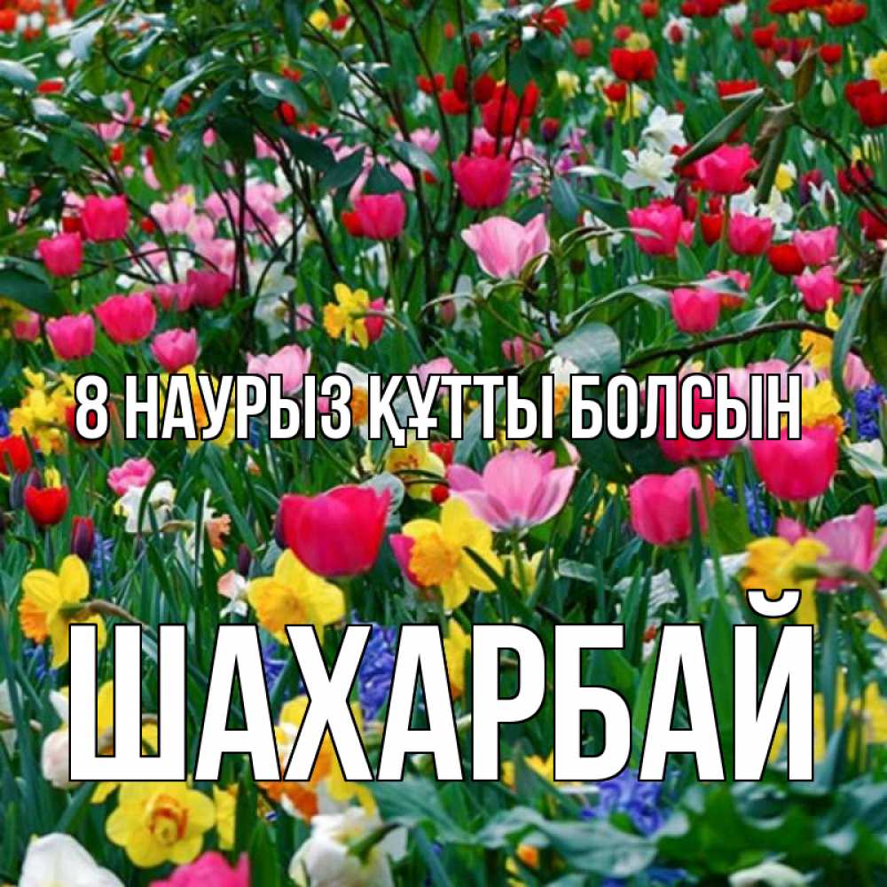 Күн сайын ашық хат с именем, ШАХАРБАЙ 8 наурыз құтты болсын с международным женским днем поздравления для женщины Онлайн тегін жүктеп алу тілектері бар керемет карта 