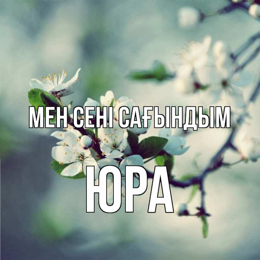 Күн сайын ашық хат с именем, Юра Мен сені сағындым весна Онлайн тегін жүктеп алу тілектері бар керемет карта 