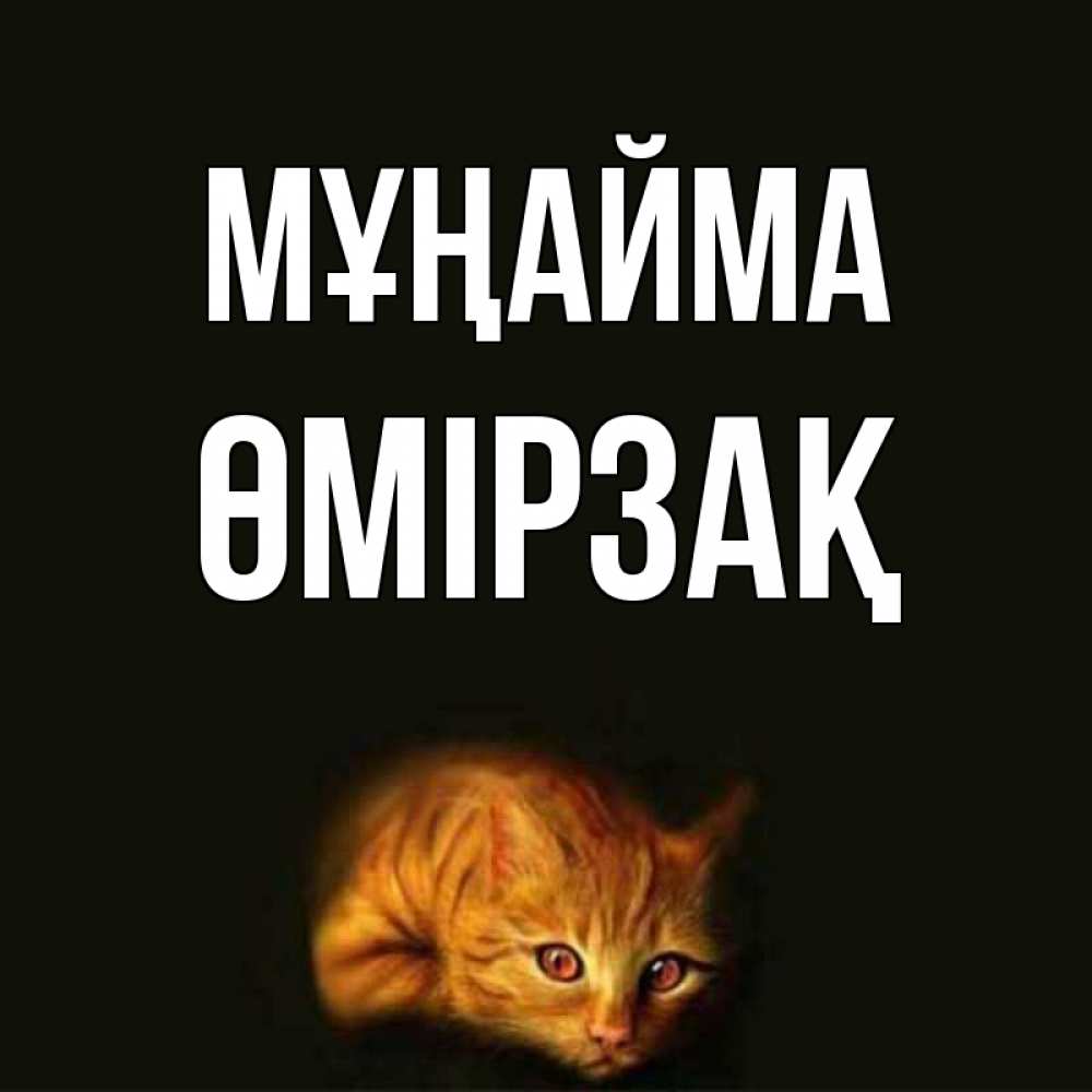 Күн сайын ашық хат с именем, ӨМІРЗАҚ Мұңайма лежащий кот в темноте Онлайн тегін жүктеп алу тілектері бар керемет карта 