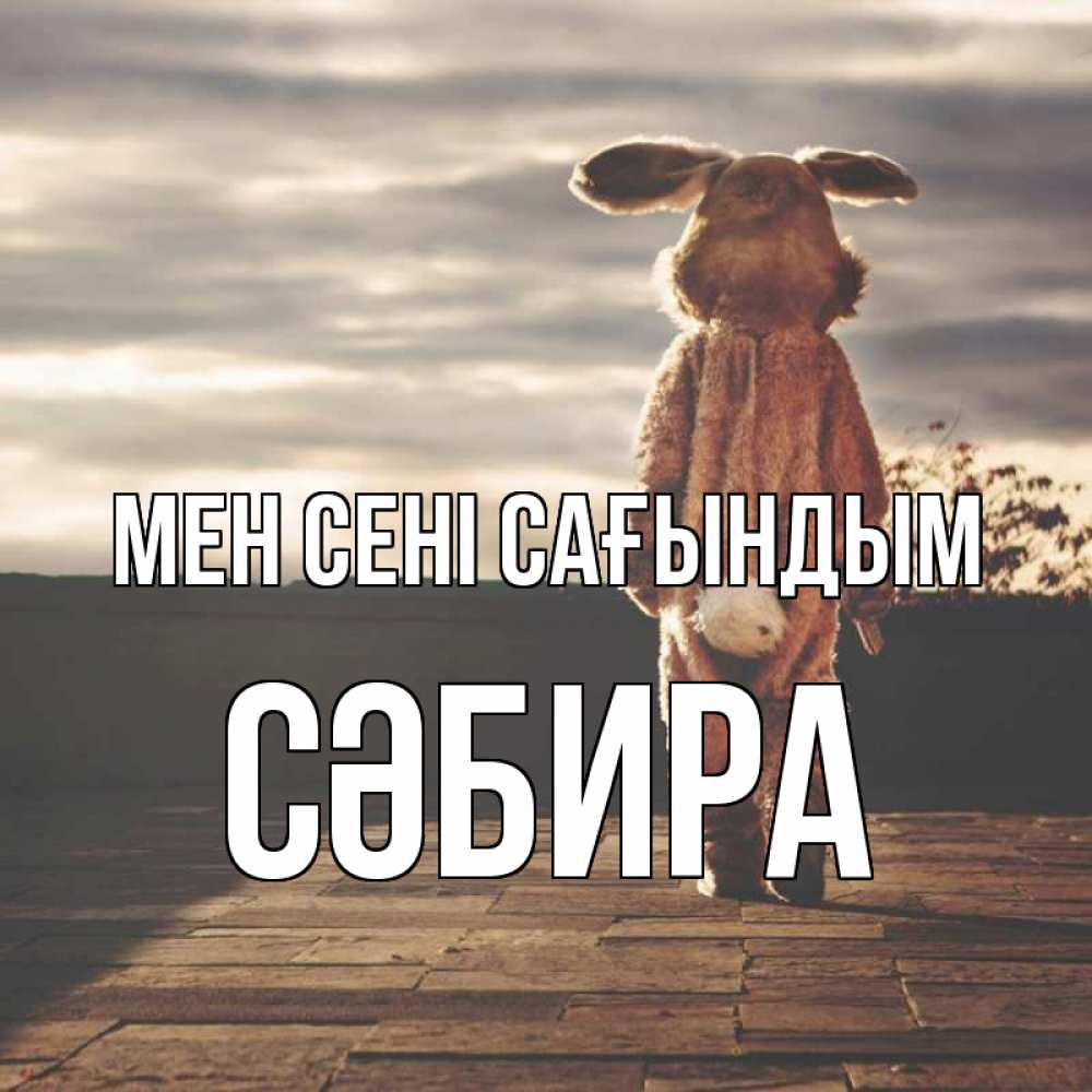 Күн сайын ашық хат с именем, СӘБИРА Мен сені сағындым даже в костюме зайца Онлайн тегін жүктеп алу тілектері бар керемет карта 