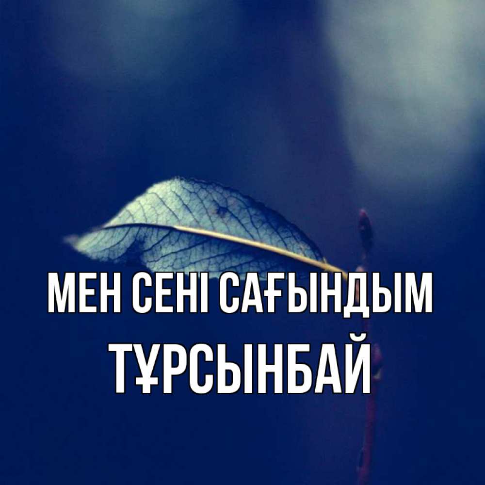 Күн сайын ашық хат с именем, ТҰРСЫНБАЙ Мен сені сағындым одна ветка 1 Онлайн тегін жүктеп алу тілектері бар керемет карта 