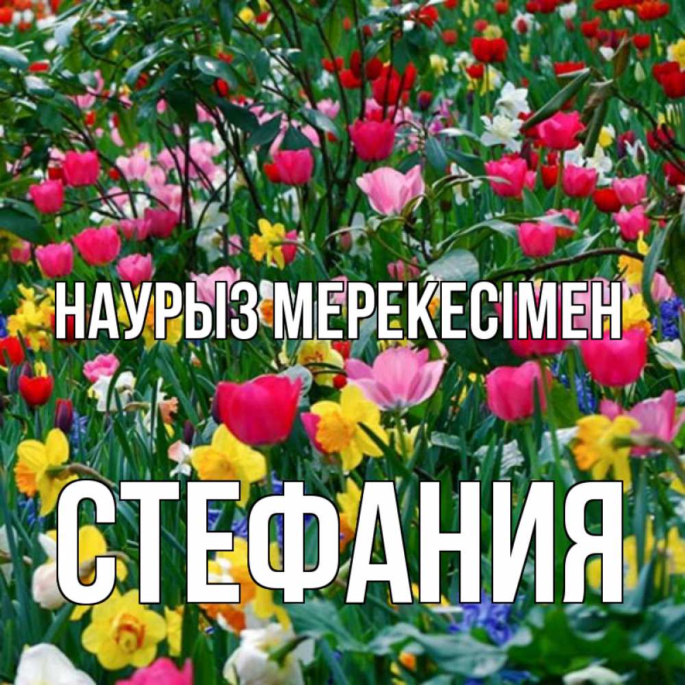 Күн сайын ашық хат с именем, Стефания Наурыз мерекесімен с наурызом праздником весны поздравления для женщины Онлайн тегін жүктеп алу тілектері бар керемет карта 