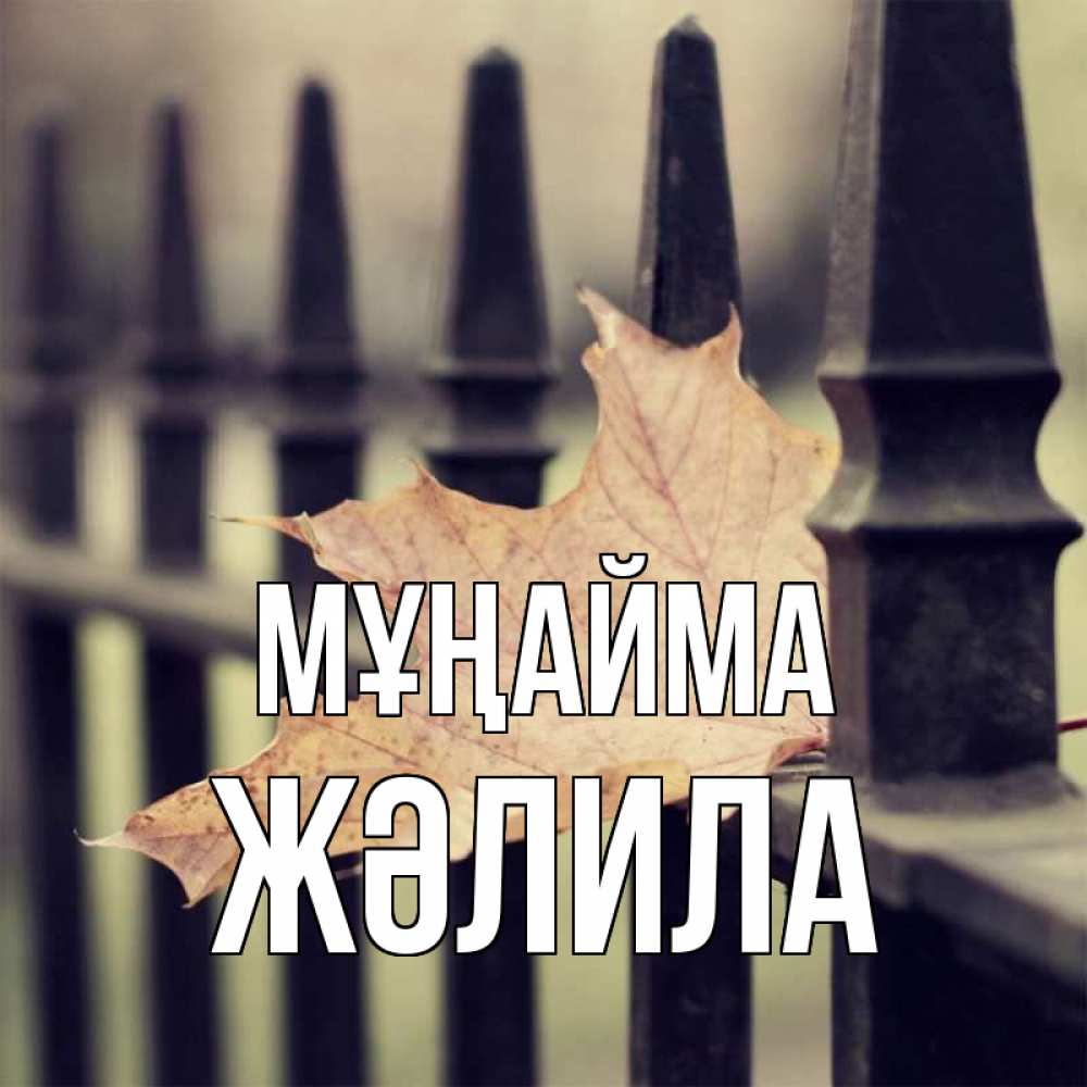 Күн сайын ашық хат с именем, ЖӘЛИЛА Мұңайма лист клена Онлайн тегін жүктеп алу тілектері бар керемет карта 