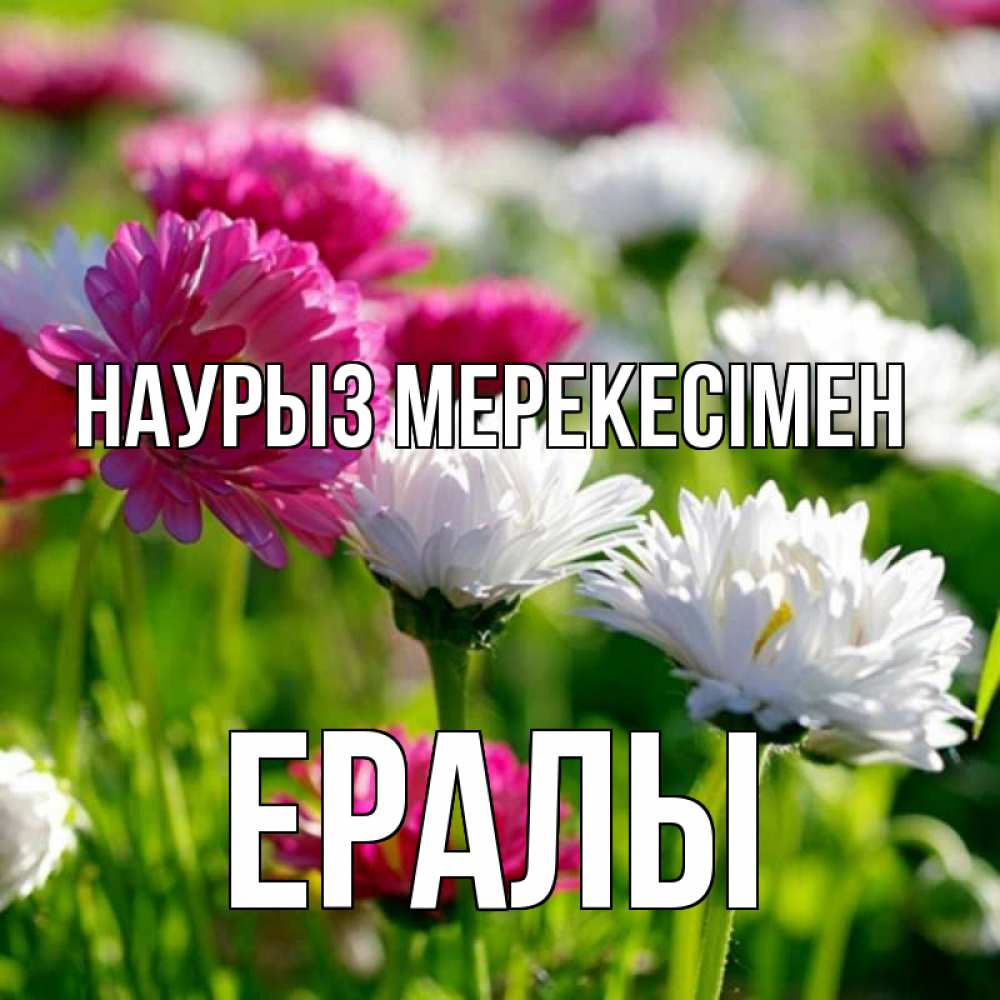 Күн сайын ашық хат с именем, Ералы Наурыз мерекесімен праздник весны наурыз красота Онлайн тегін жүктеп алу тілектері бар керемет карта 