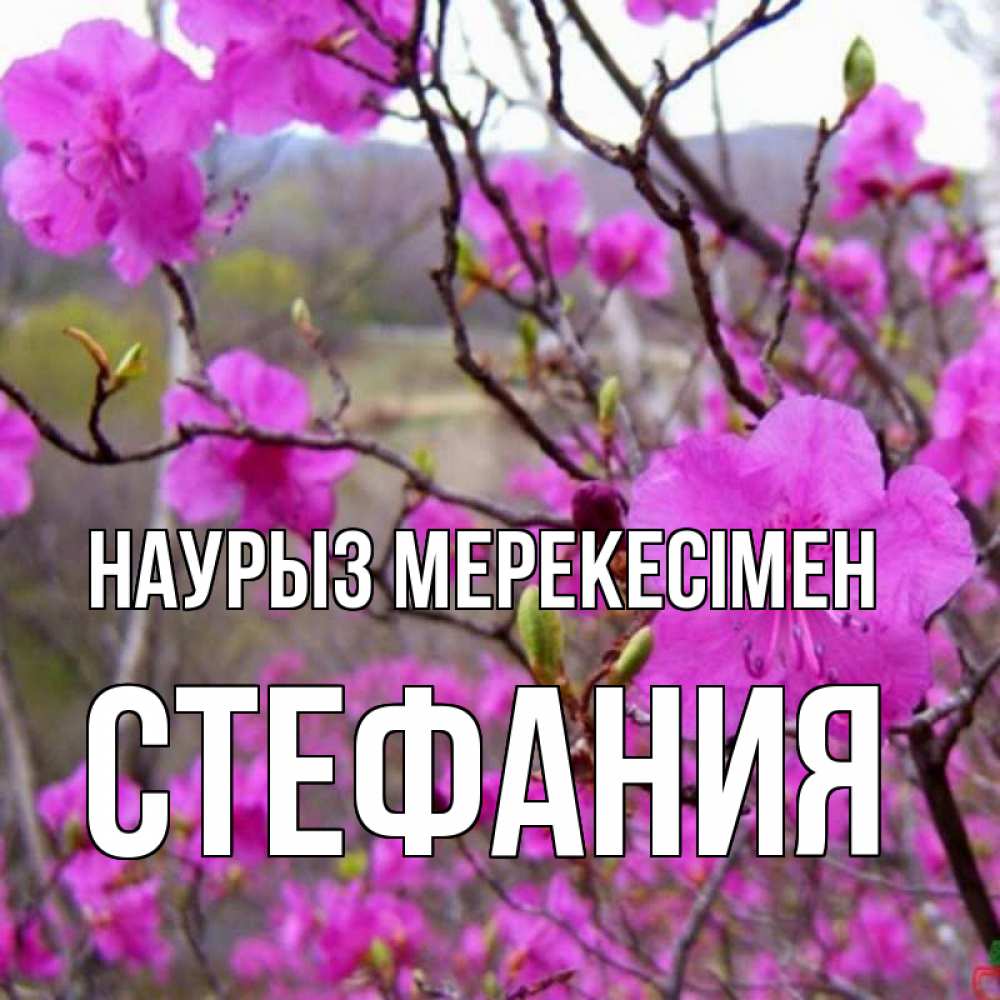 Күн сайын ашық хат с именем, Стефания Наурыз мерекесімен праздник весны наурыз Онлайн тегін жүктеп алу тілектері бар керемет карта 