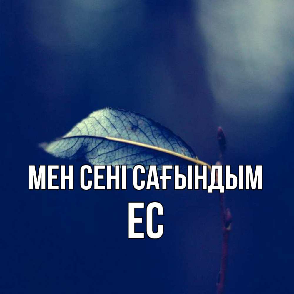 Күн сайын ашық хат с именем, Ес Мен сені сағындым одна ветка 1 Онлайн тегін жүктеп алу тілектері бар керемет карта 