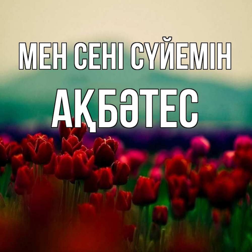 Күн сайын ашық хат с именем, АҚБӘТЕС Мен сені сүйемін тюльпаны 4 Онлайн тегін жүктеп алу тілектері бар керемет карта 