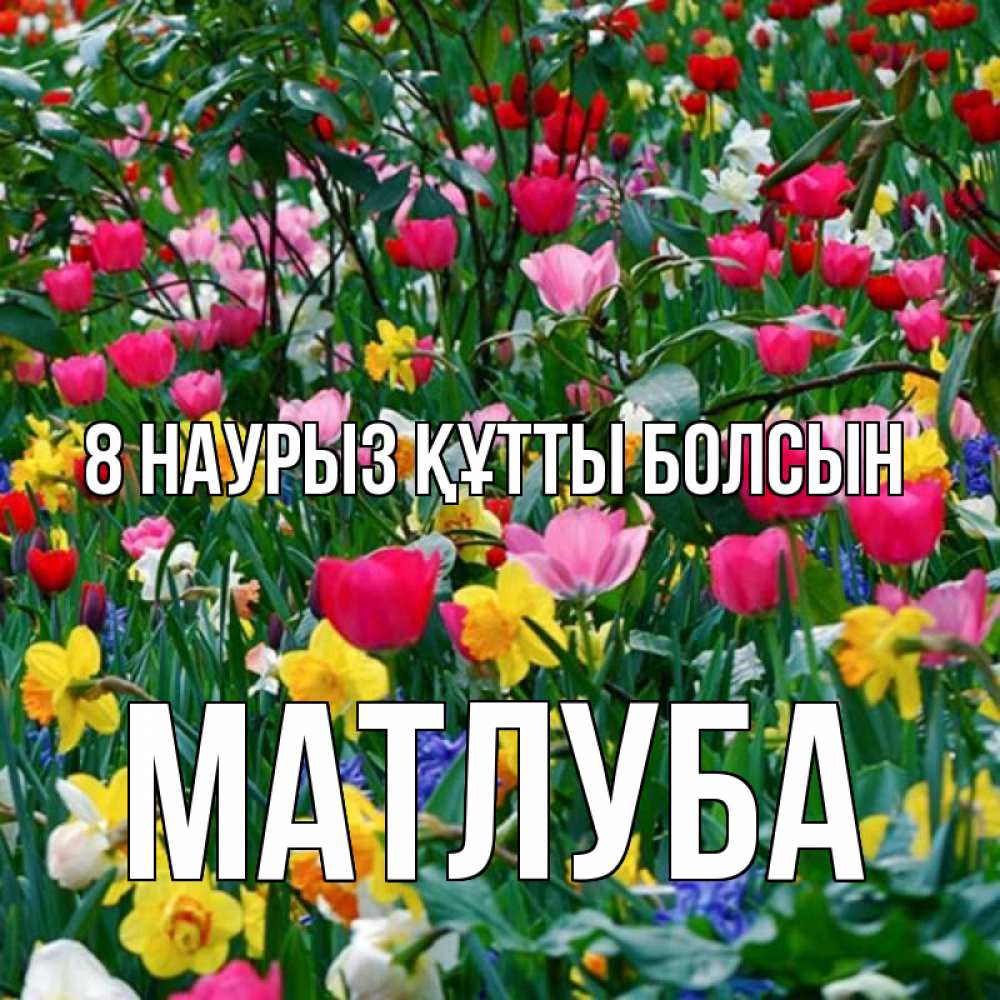Күн сайын ашық хат с именем, МАТЛУБА 8 наурыз құтты болсын с международным женским днем поздравления для женщины Онлайн тегін жүктеп алу тілектері бар керемет карта 