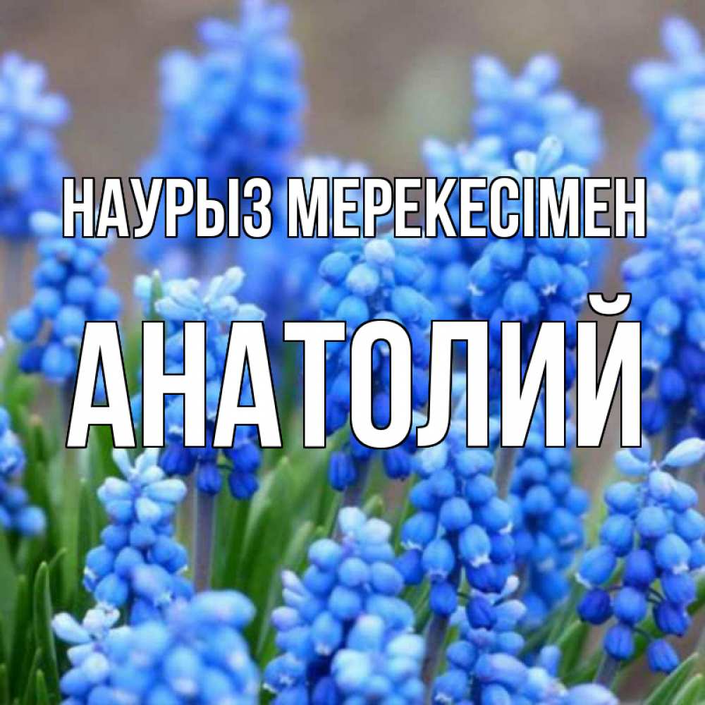 Күн сайын ашық хат с именем, Анатолий Наурыз мерекесімен Поздравительная открытка для женщин с цветами на праздничную дату Онлайн тегін жүктеп алу тілектері бар керемет карта 