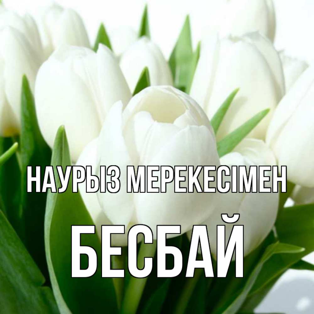 Күн сайын ашық хат с именем, Бесбай Наурыз мерекесімен цветы Онлайн тегін жүктеп алу тілектері бар керемет карта 