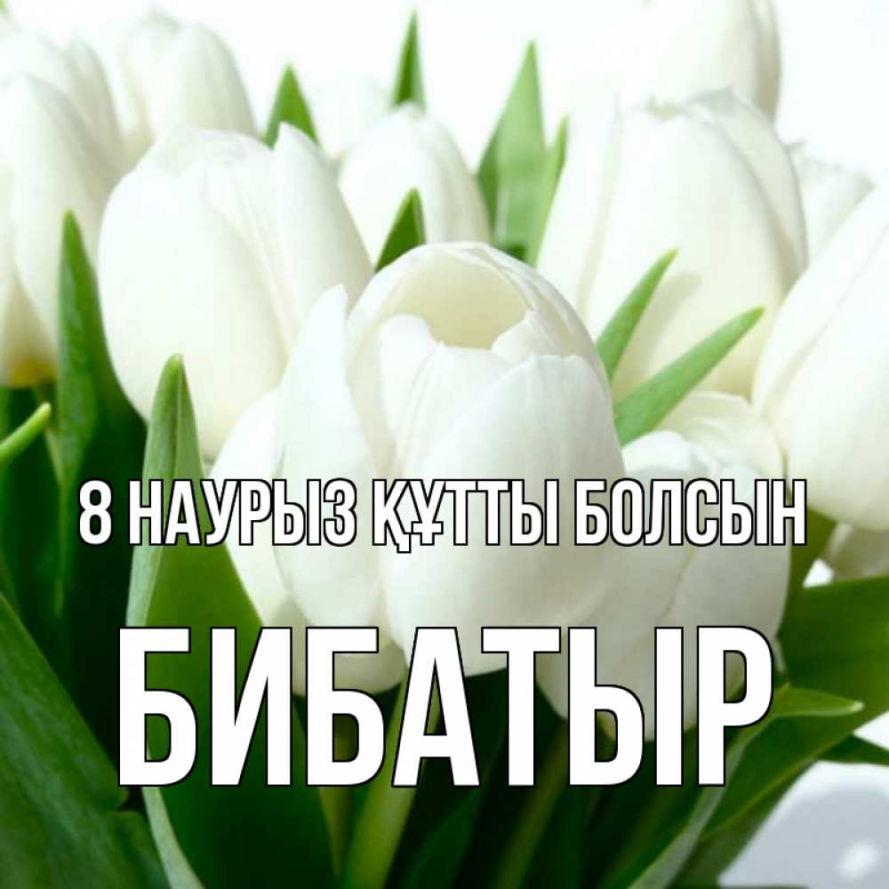 Күн сайын ашық хат с именем, Бибатыр 8 наурыз құтты болсын цветы Онлайн тегін жүктеп алу тілектері бар керемет карта 