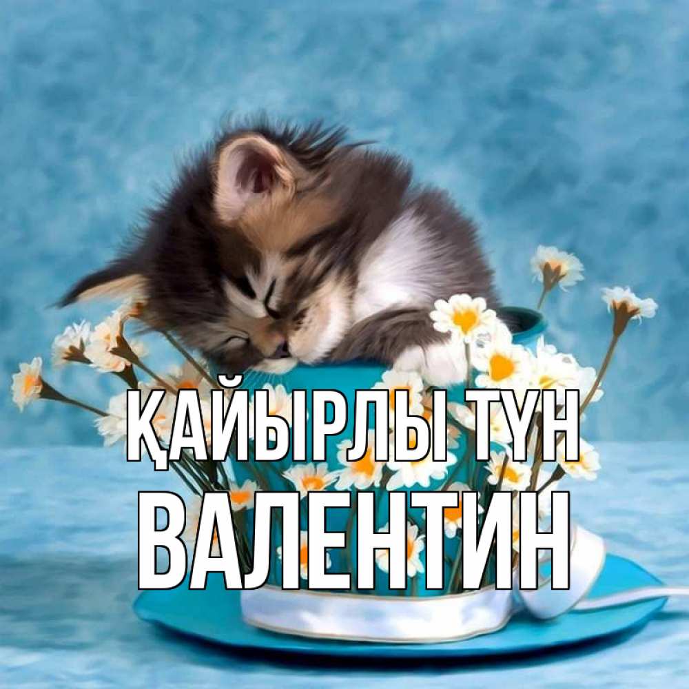 Күн сайын ашық хат с именем, Валентин Қайырлы түн котенок спит в кружке с блюдцем Онлайн тегін жүктеп алу тілектері бар керемет карта 