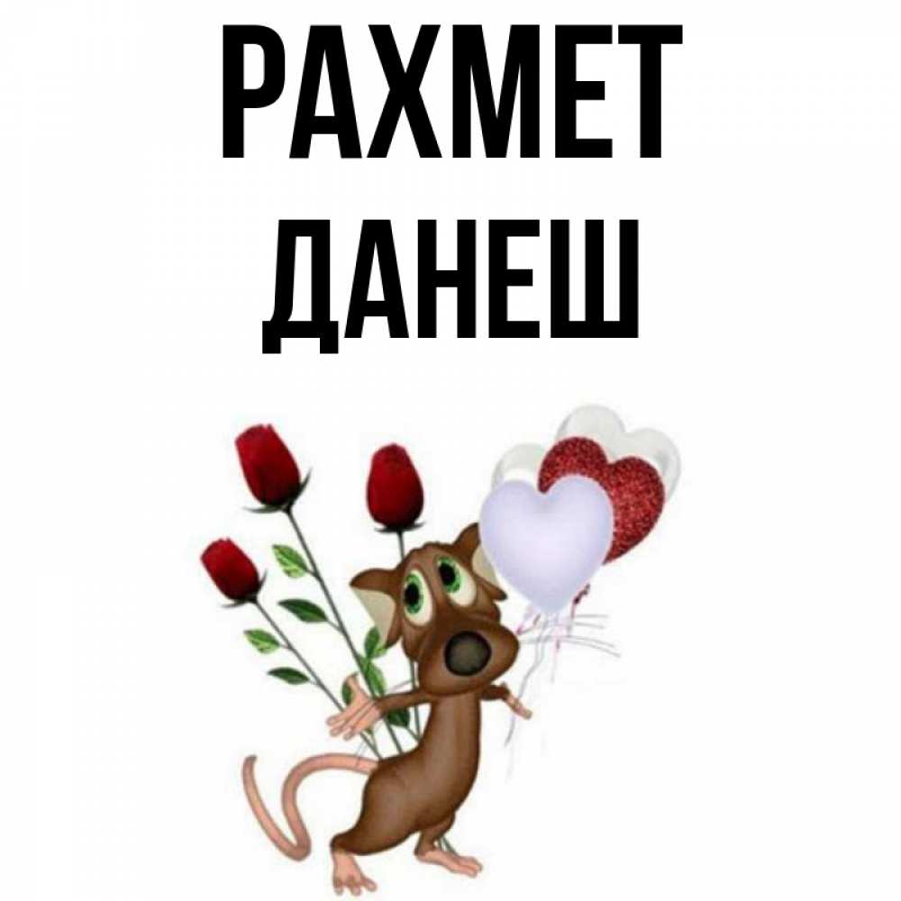 Күн сайын ашық хат с именем, ДАНЕШ рахмет песик с шариками в форме сердец Онлайн тегін жүктеп алу тілектері бар керемет карта 