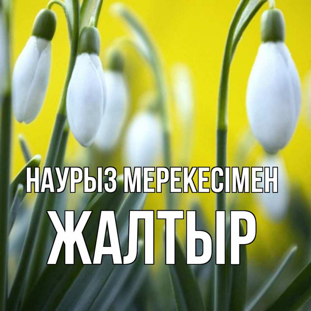 Күн сайын ашық хат с именем, Жалтыр Наурыз мерекесімен весенние цветы Онлайн тегін жүктеп алу тілектері бар керемет карта 