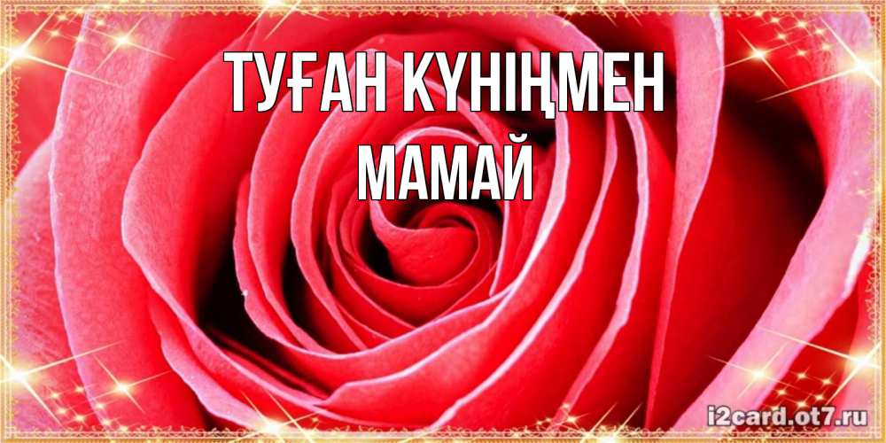 Күн сайын ашық хат с именем, Мамай Туған күніңмен розовая роза очень крупный бутон Онлайн тегін жүктеп алу тілектері бар керемет карта 