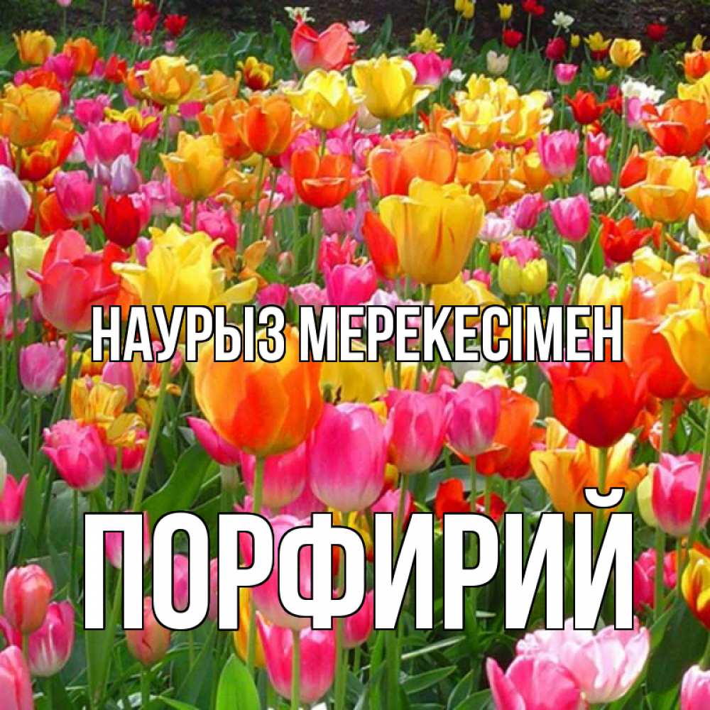 Күн сайын ашық хат с именем, Порфирий Наурыз мерекесімен праздник весны наурыз 4 Онлайн тегін жүктеп алу тілектері бар керемет карта 
