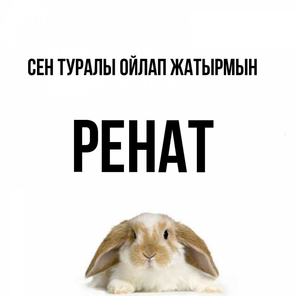 Күн сайын ашық хат с именем, РЕНАТ Сен туралы ойлап жатырмын подписать своими руками онлайн Онлайн тегін жүктеп алу тілектері бар керемет карта 