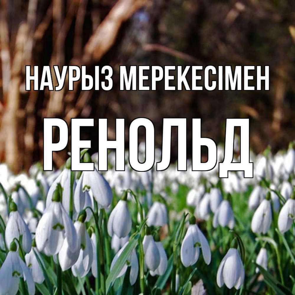 Күн сайын ашық хат с именем, Ренольд Наурыз мерекесімен с подснежниками 1 Онлайн тегін жүктеп алу тілектері бар керемет карта 