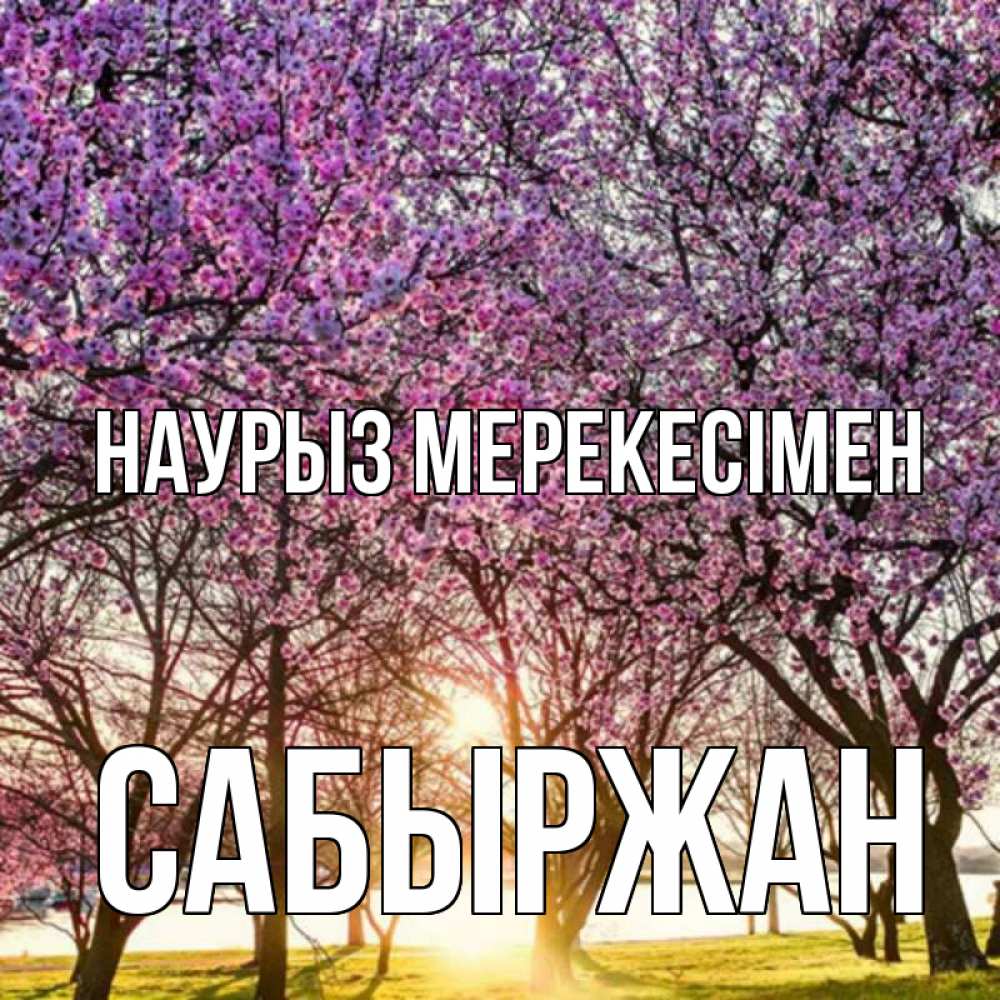 Күн сайын ашық хат с именем, САБЫРЖАН Наурыз мерекесімен праздник весны наурыз Онлайн тегін жүктеп алу тілектері бар керемет карта 