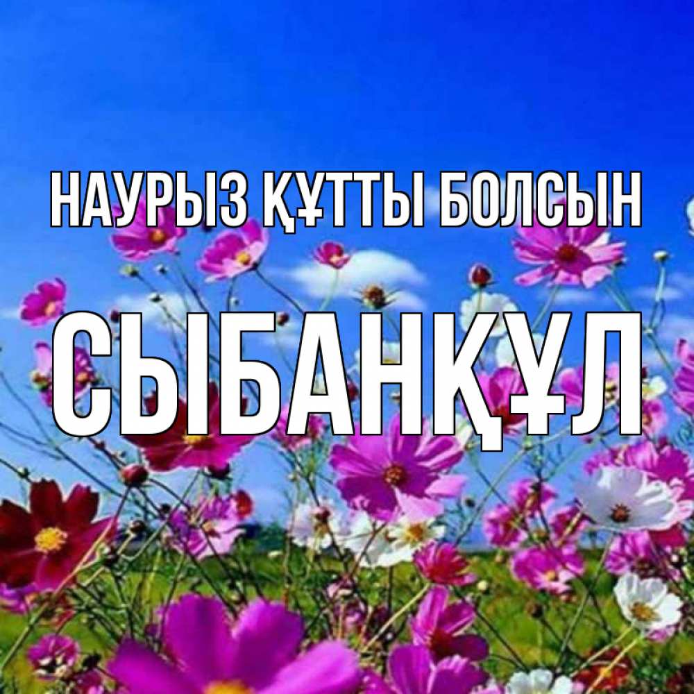 Күн сайын ашық хат с именем, СЫБАНҚҰЛ Наурыз құтты болсын цветы Онлайн тегін жүктеп алу тілектері бар керемет карта 