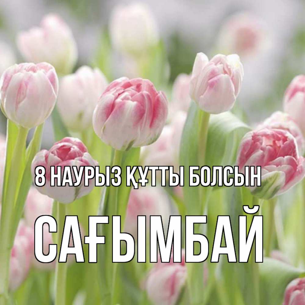 Күн сайын ашық хат с именем, Сағымбай 8 наурыз құтты болсын цветы Онлайн тегін жүктеп алу тілектері бар керемет карта 