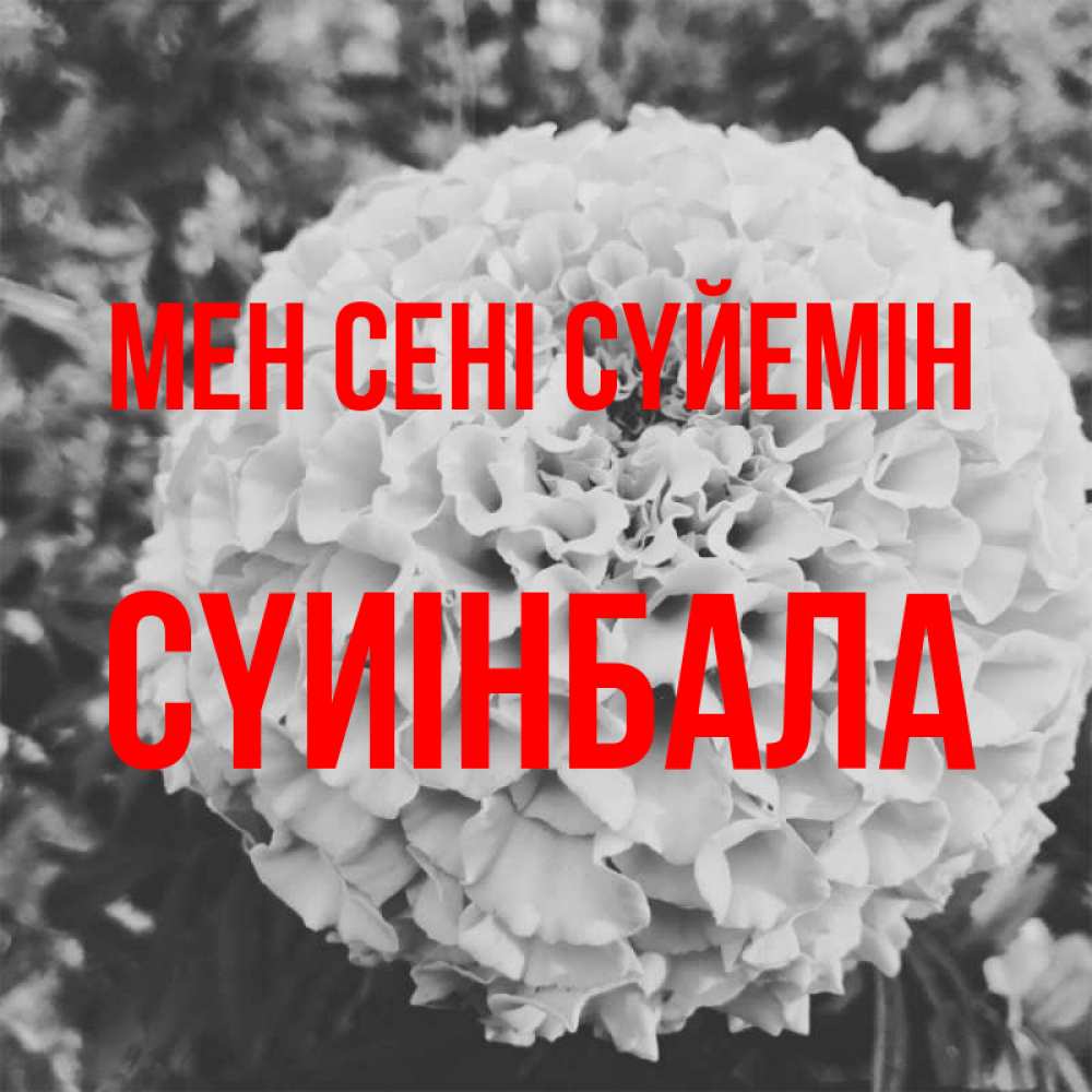 Күн сайын ашық хат с именем, СҮИІНБАЛА Мен сені сүйемін подпись Онлайн тегін жүктеп алу тілектері бар керемет карта 