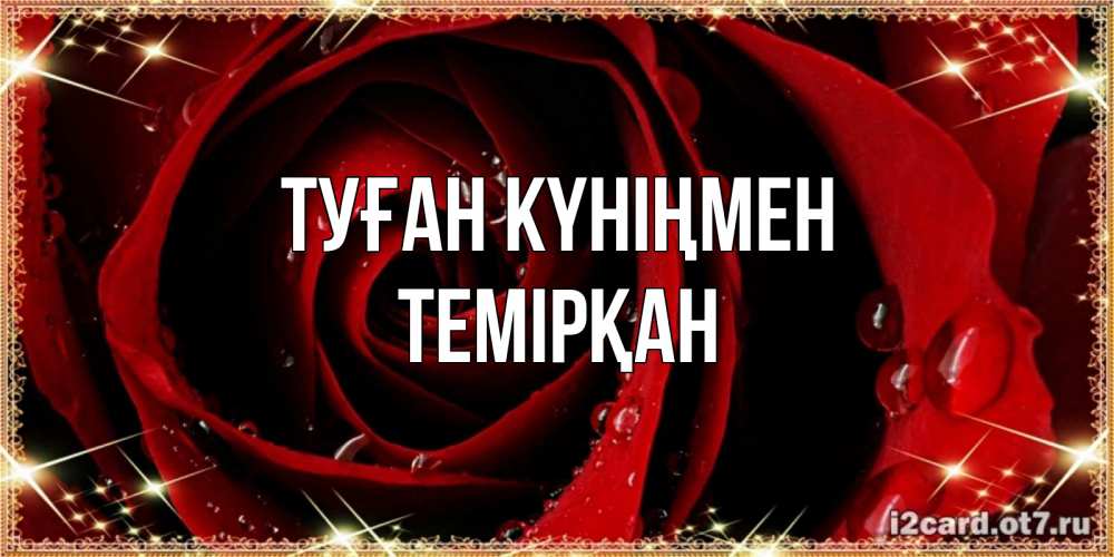 Күн сайын ашық хат с именем, ТЕМІРҚАН Туған күніңмен цветок в росе на день рождения Онлайн тегін жүктеп алу тілектері бар керемет карта 