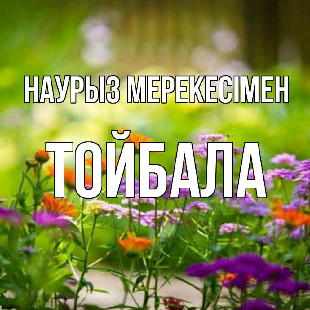 Күн сайын ашық хат с именем, ТОЙБАЛА Наурыз мерекесімен цветы Онлайн тегін жүктеп алу тілектері бар керемет карта 